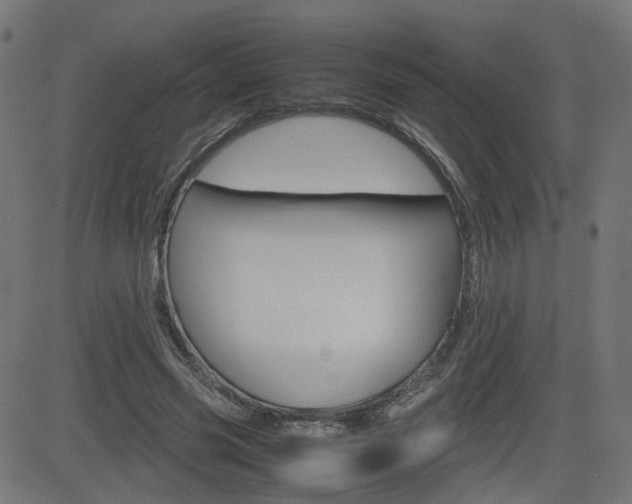 X0000082990541200702011146