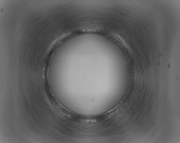 X0000082990543200702011146