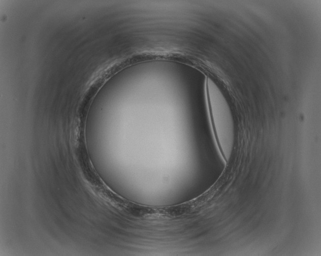 X0000082990544200702011146