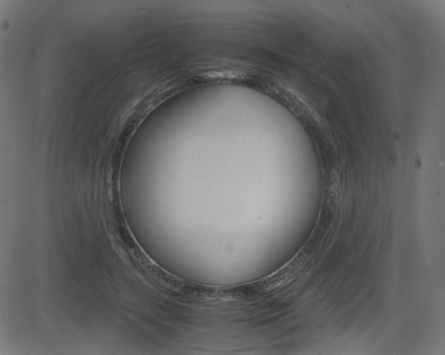 X0000082990547200702011147