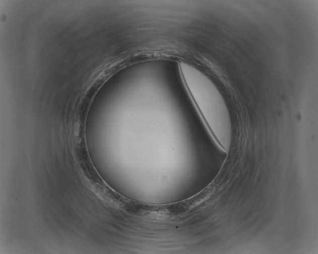 X0000082990548200702011147