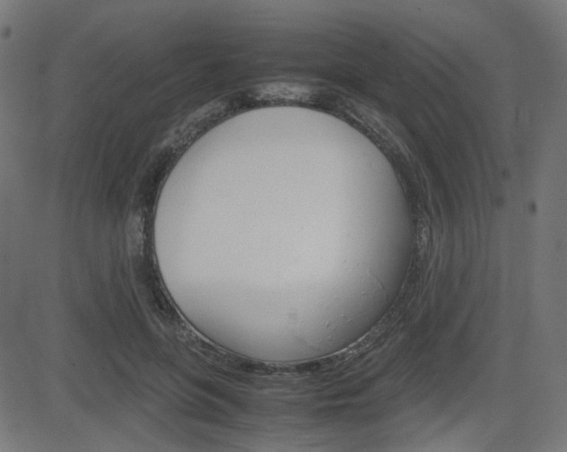 X0000082990551200702011147