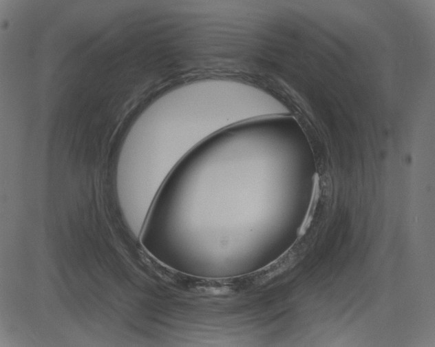 X0000082990552200702011147