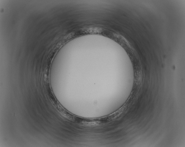 X0000082990553200702011147