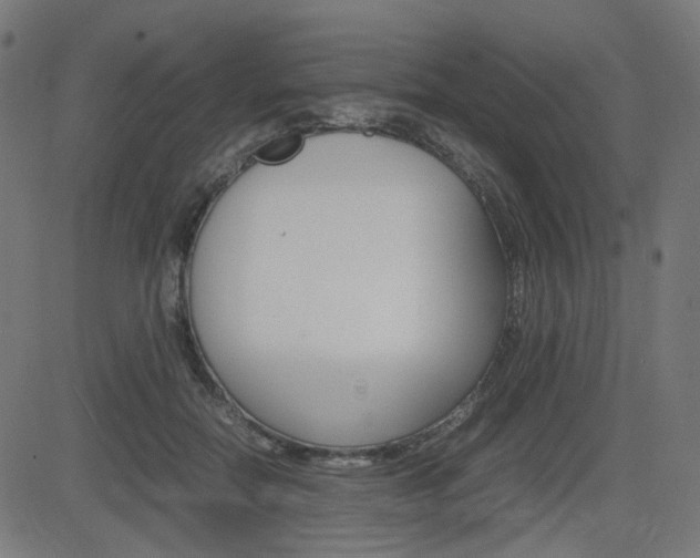 X0000082990554200702011147