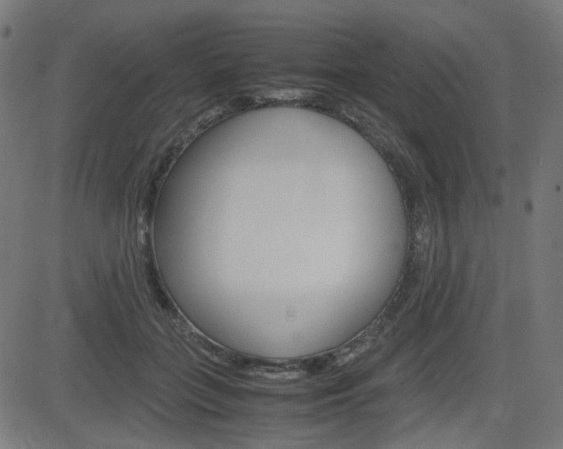 X0000082990555200702011147