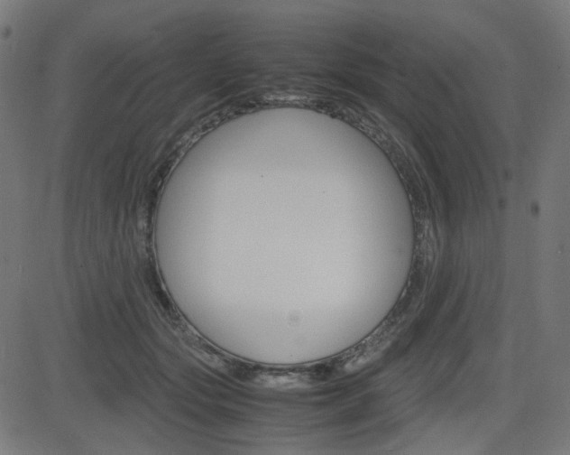 X0000082990557200702011147