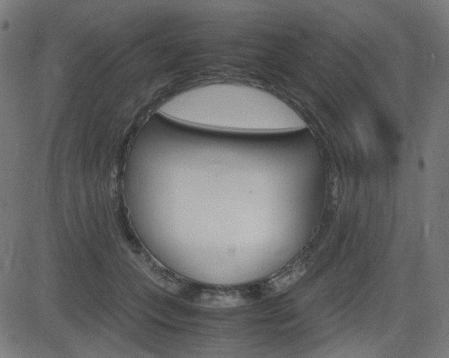 X0000082990559200702011147
