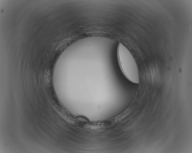X0000082990563200702011147