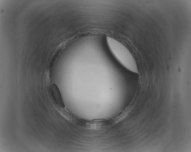 X0000082990564200702011147