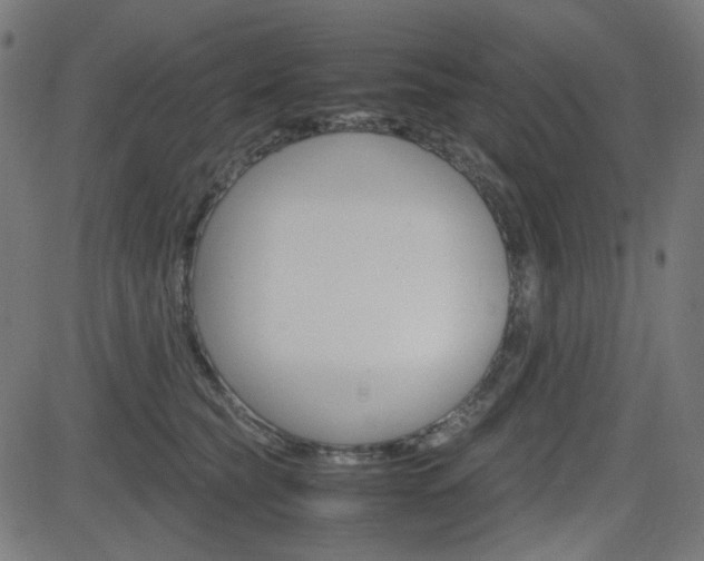 X0000082990565200702011147