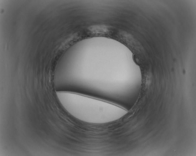 X0000082990567200702011147