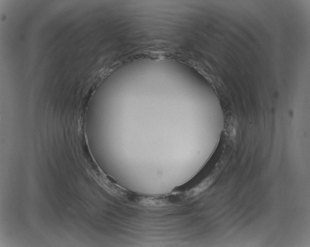 X0000082990568200702011147
