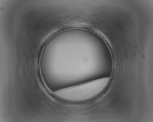 X0000082990581200702011146