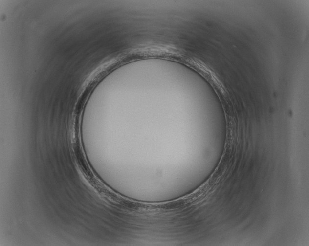 X0000082990582200702011146