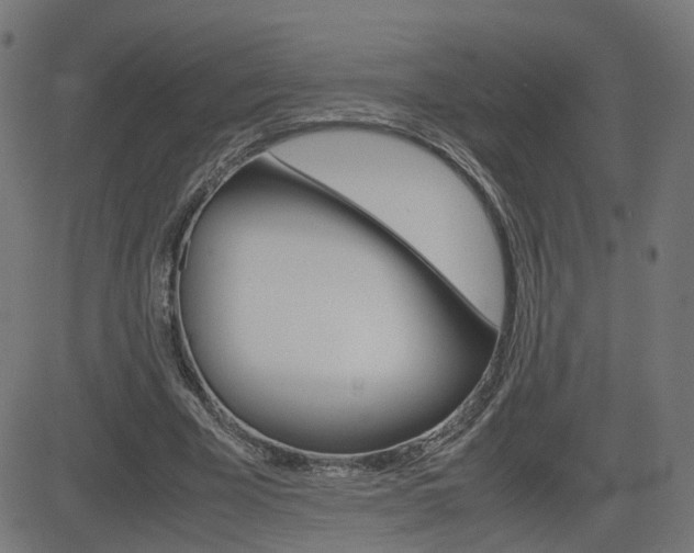 X0000082990585200702011146