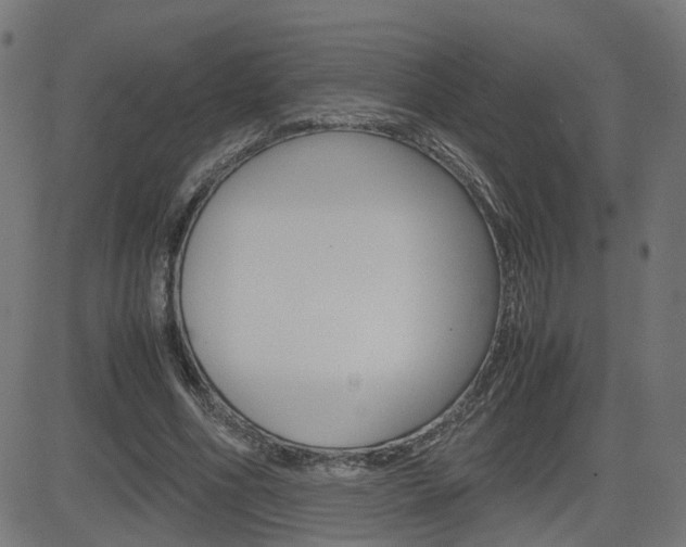 X0000082990586200702011146