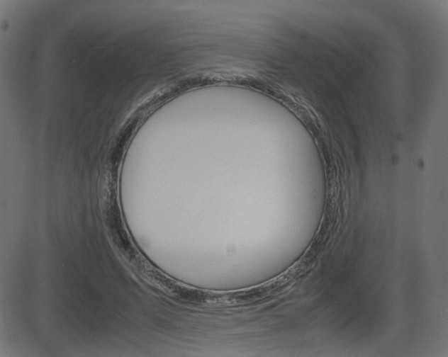 X0000082990591200702011146