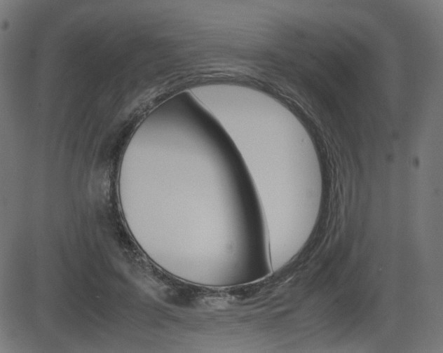 X0000082990595200702011146