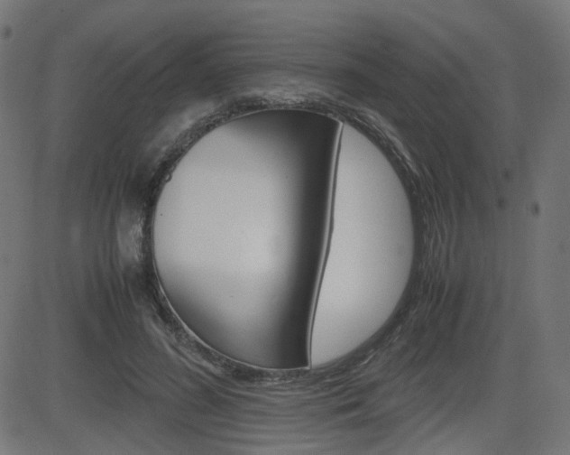 X0000082990596200702011146