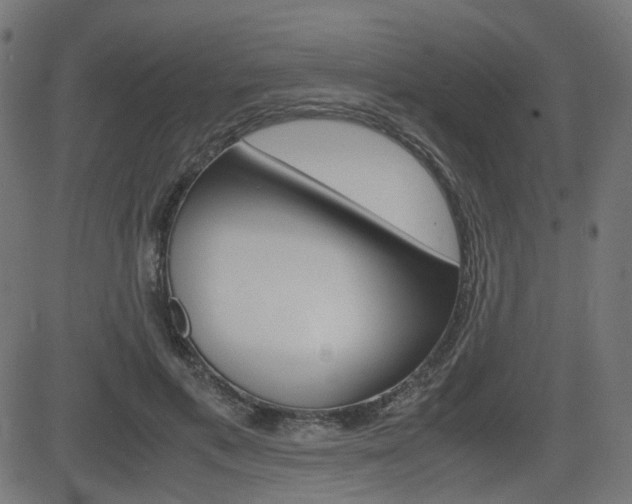 X0000082990597200702011146