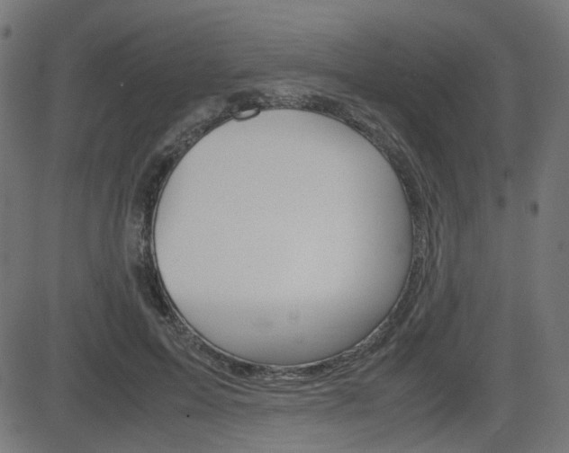 X0000082990599200702011146