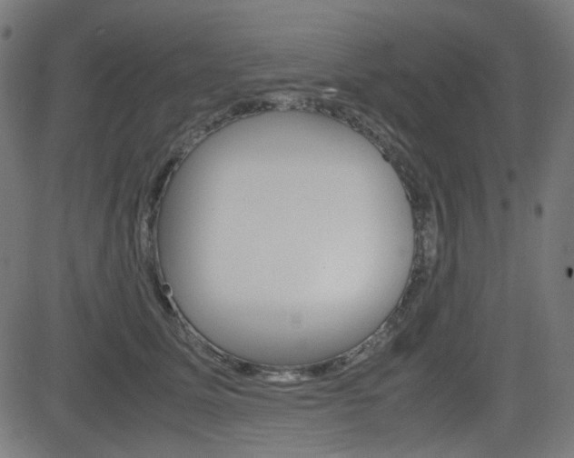 X0000082990611200702011146