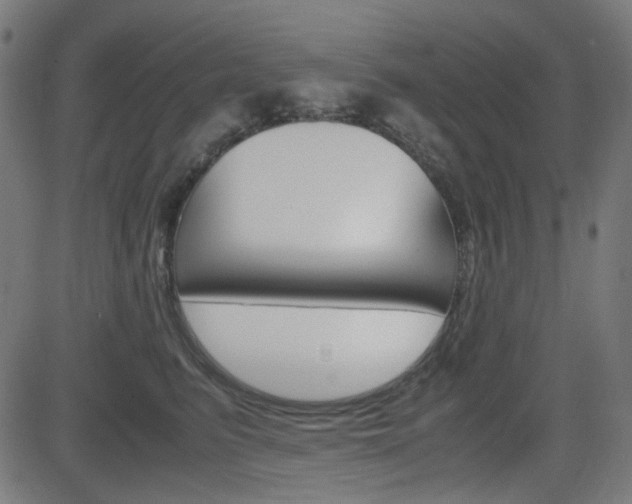 X0000082990615200702011146