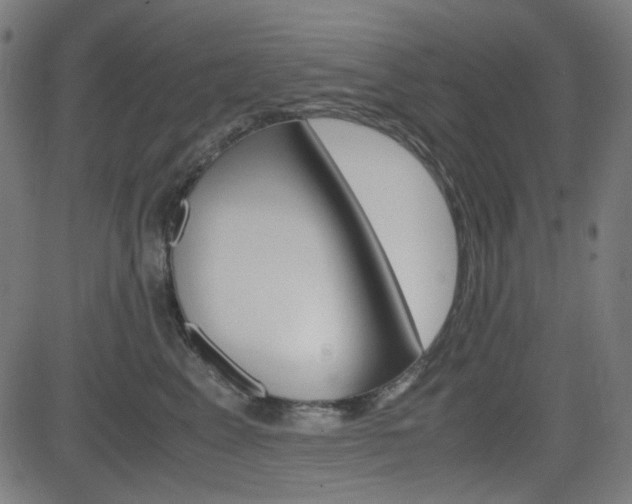 X0000082990617200702011146