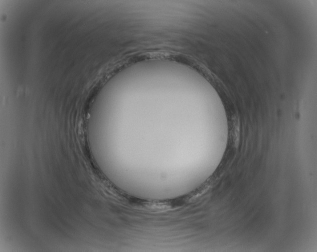 X0000082990619200702011145