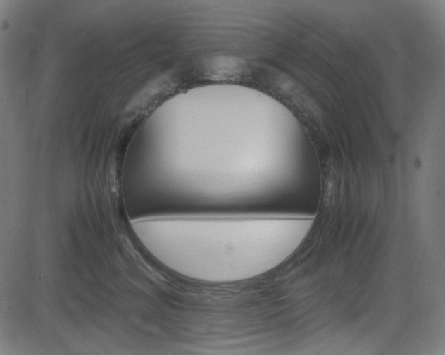 X0000082990620200702011145