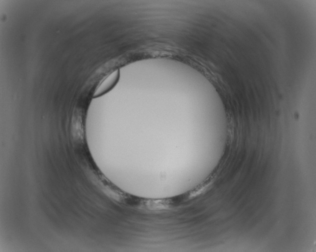 X0000082990622200702011145