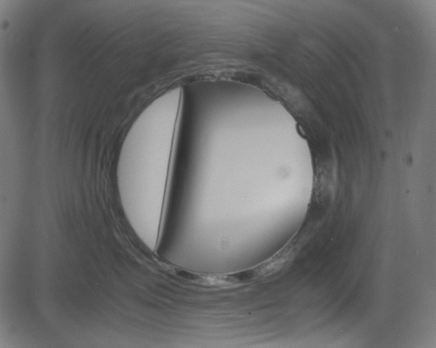 X0000082990623200702011145