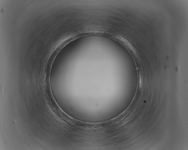 X0000082990627200702011145