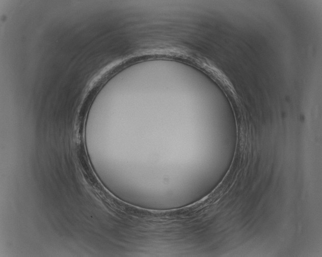 X0000082990628200702011145