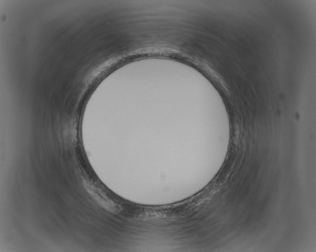 X0000082990632200702011145