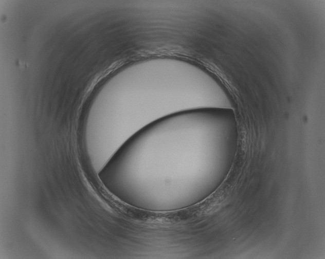 X0000082990634200702011145