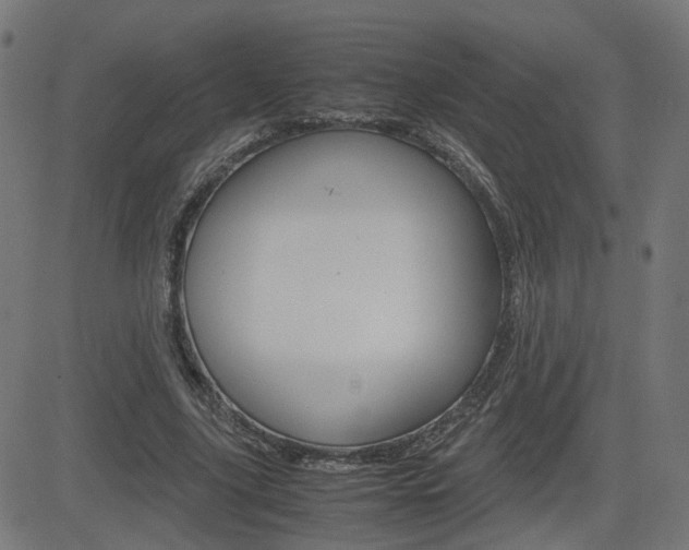 X0000082990635200702011145