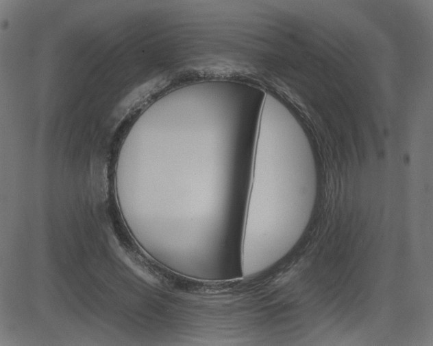 X0000082990638200702011145