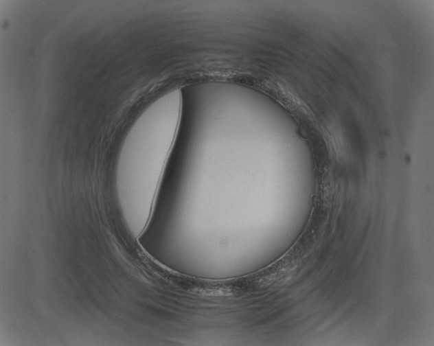 X0000082990639200702011145