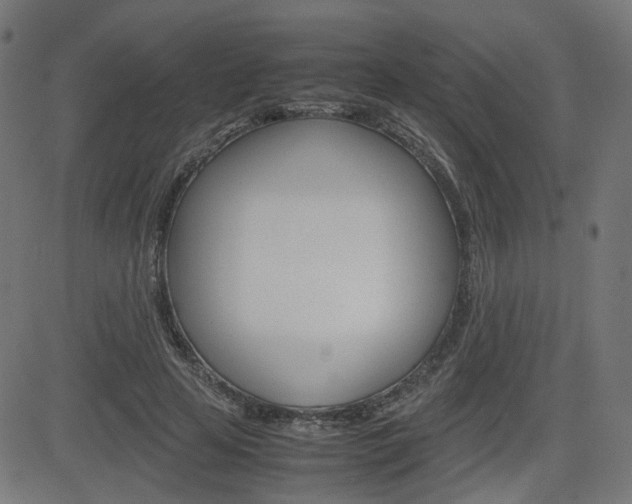 X0000082990641200702011145