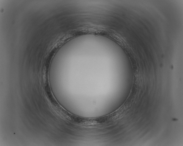 X0000082990642200702011145