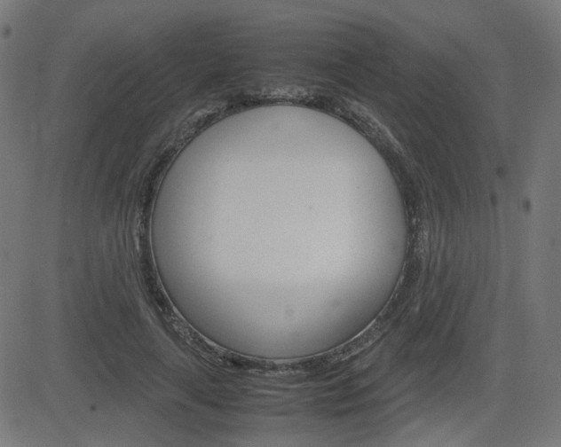 X0000082990643200702011145