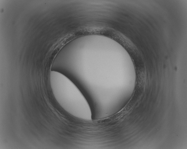 X0000082990644200702011145