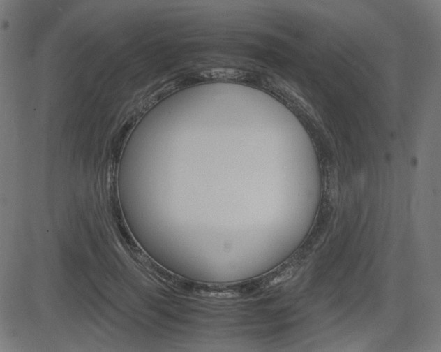 X0000082990645200702011145