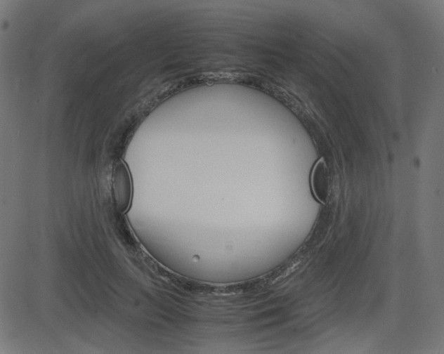X0000082990647200702011145