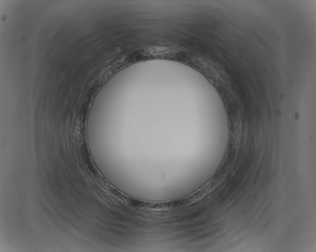 X0000082990653200702011145