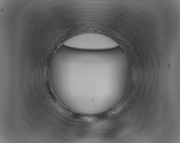 X0000082990654200702011145