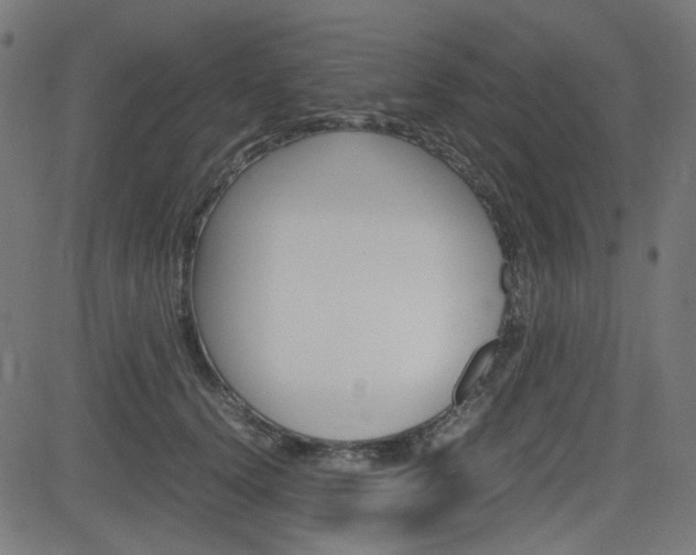 X0000082990656200702011145