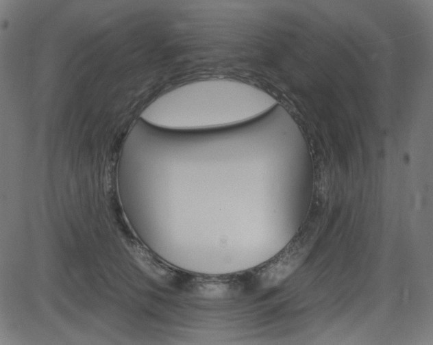 X0000082990658200702011145